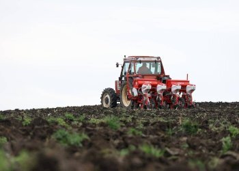 Foto 1 - Terreno agricolo Via Grandi, Truccazzano - foto 1