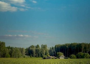 Foto 4 - Terreno agricolo Via Grandi, Truccazzano - foto 4