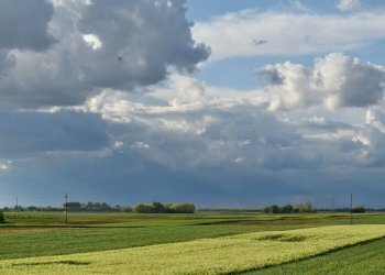 Foto 7 - Terreno agricolo Via Grandi, Truccazzano - foto 7