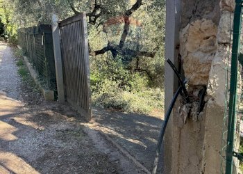 Giardino - Casa semi indipendente Formia - foto 29