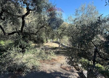 Giardino - Casa semi indipendente Formia - foto 30