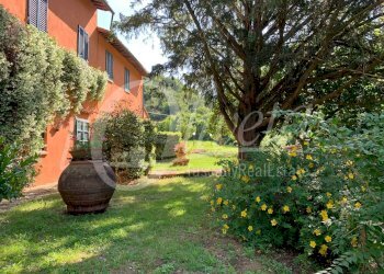 Foto 1 - Rustico San Giuliano Terme, San Giuliano Terme - foto 1