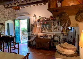 Foto 15 - Rustico San Giuliano Terme, San Giuliano Terme - foto 15