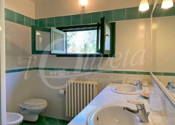 Foto 36 - Rustico San Giuliano Terme, San Giuliano Terme - foto 36