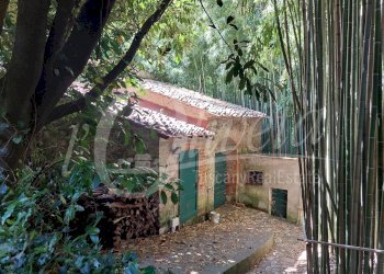 Foto 39 - Rustico San Giuliano Terme, San Giuliano Terme - foto 39