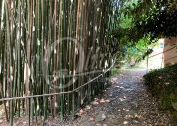 Foto 40 - Rustico San Giuliano Terme, San Giuliano Terme - foto 40