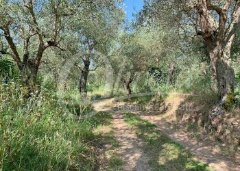 Foto 41 - Rustico San Giuliano Terme, San Giuliano Terme - foto 41