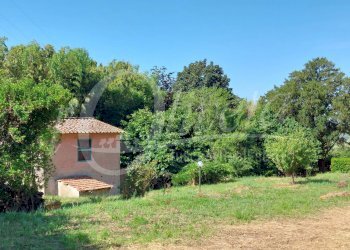 Foto 42 - Rustico San Giuliano Terme, San Giuliano Terme - foto 42