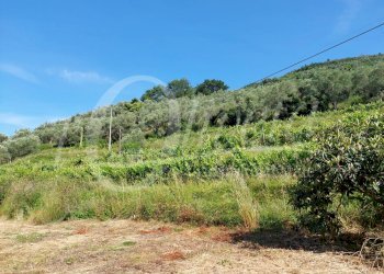 Foto 43 - Rustico San Giuliano Terme, San Giuliano Terme - foto 43