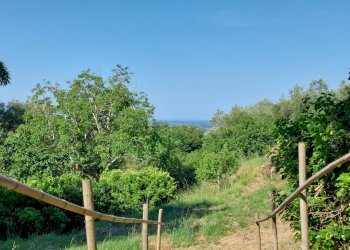 Foto 44 - Rustico San Giuliano Terme, San Giuliano Terme - foto 44