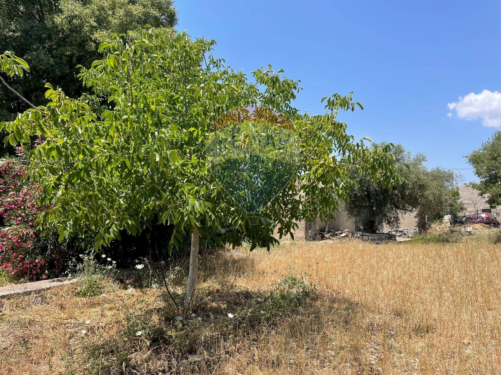 Giardino - Terreno agricolo contrada Sanangelo, Modica - foto 2