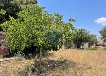Giardino - Terreno agricolo contrada Sanangelo, Modica - foto 2