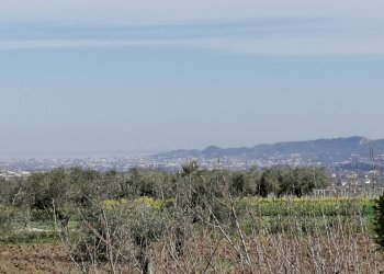 Foto 13 - Casa indipendente CONTRADA SAN MARTINO
 
4, Rosciano - foto 13