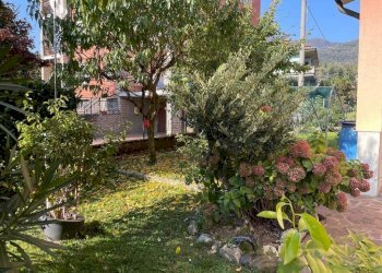 Giardino - Quadrilocale via Provinciale, 12, Cenate Sopra - foto 9