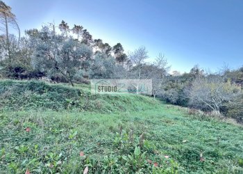 Foto 28 - Casa semi indipendente via xxv aprile, Camaiore - foto 28