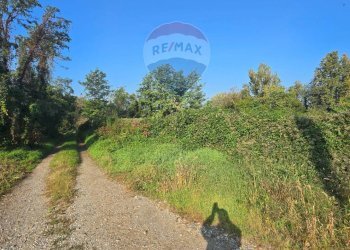 Giardino - Building land Via Pablo Picasso, Pozzuolo Martesana - photo 17