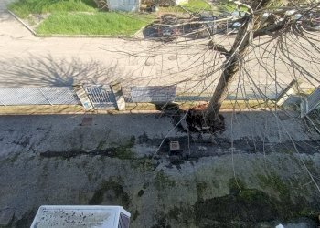 Foto 34 - Capannone Via Decorati al Valor Militare, 2, Modena - foto 34