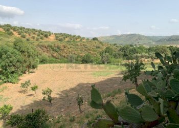 WhatsApp Image 2021-07-17 at 11.25.56 (7).jpeg - Villa via cappuccini, Squillace - foto 23