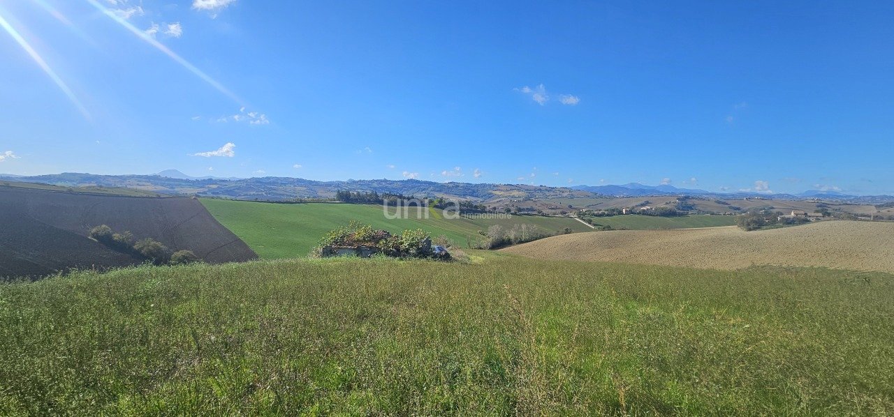 20251104_102735.jpg - Independent house Contrada Costa snc, Montecarotto - photo 2