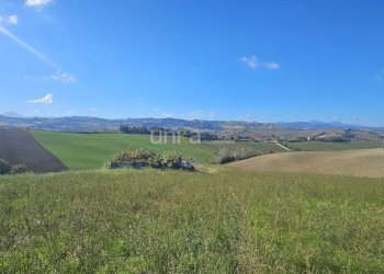 20251104_102735.jpg - Casa indipendente Contrada Costa snc, Montecarotto - foto 2