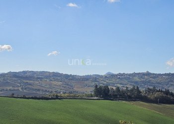 20251104_103737.jpg - Casa indipendente Contrada Costa snc, Montecarotto - foto 3