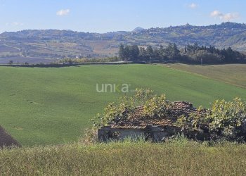20251104_102804.jpg - Casa indipendente Contrada Costa snc, Montecarotto - foto 4