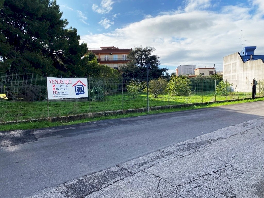 IMG_1107.jpg - Terreno agricolo Via Vito Donato Bianco, Sammichele di Bari - foto 1