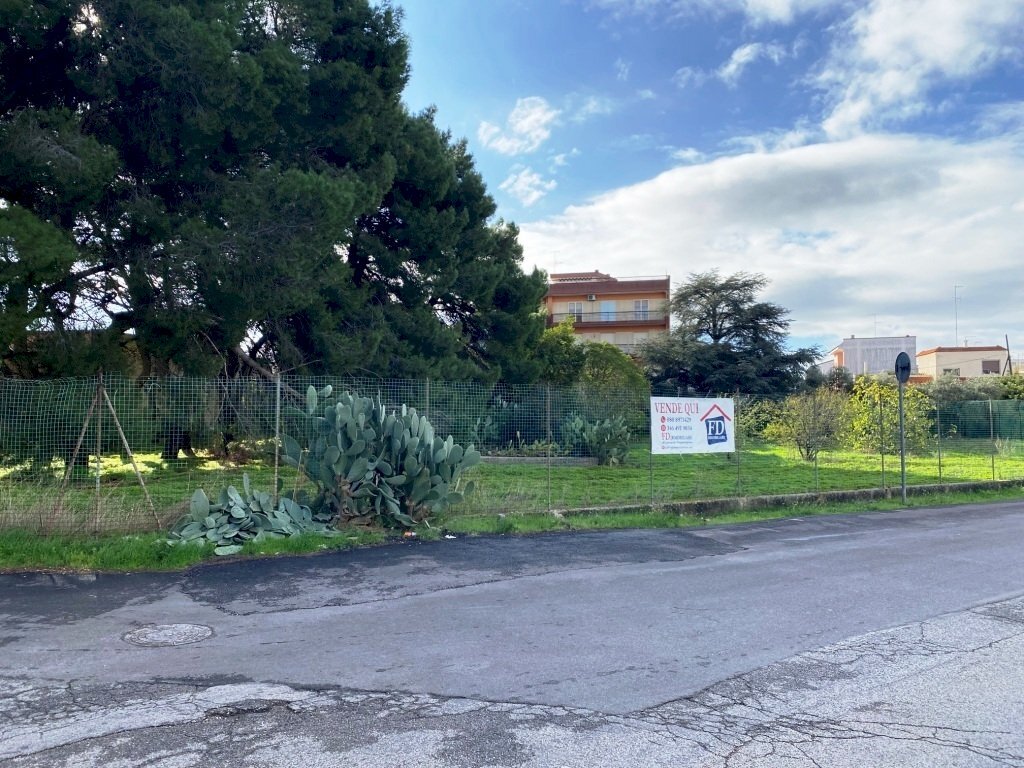 IMG_1108.jpg - Terreno agricolo Via Vito Donato Bianco, Sammichele di Bari - foto 3