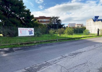 IMG_1107.jpg - Terreno agricolo Via Vito Donato Bianco, Sammichele di Bari - foto 1