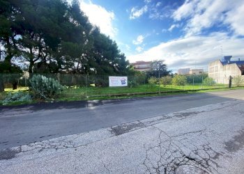 IMG_1106.jpg - Terreno agricolo Via Vito Donato Bianco, Sammichele di Bari - foto 2