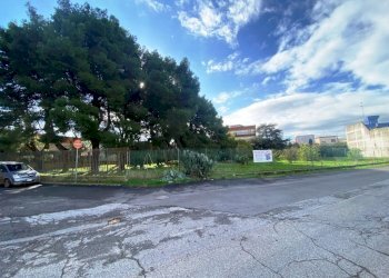 IMG_1109.jpg - Terreno agricolo Via Vito Donato Bianco, Sammichele di Bari - foto 4