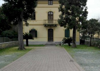 CORTILE.jpg - Appartamento Massarosa - foto 5