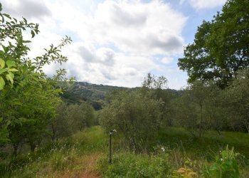 4.jpg - Rustic Via Carignano, Fosdinovo - photo 4