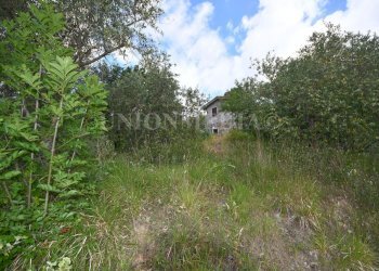 5.jpg - Rustic Via Carignano, Fosdinovo - photo 5