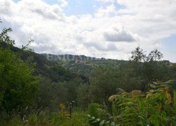 6.jpg - Rustic Via Carignano, Fosdinovo - photo 6