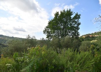 7.jpg - Rustic Via Carignano, Fosdinovo - photo 7