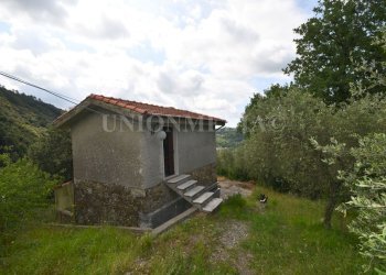 3.jpg - Rustic Via Carignano, Fosdinovo - photo 13