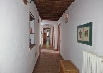 20251002_101834.jpg - Casale Strada di Siano, Amelia - photo 28