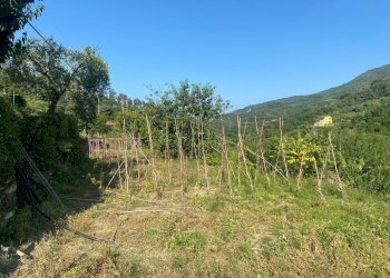 Trilocale in vendita a Stellanello - Trilocale Stellanello - foto 13