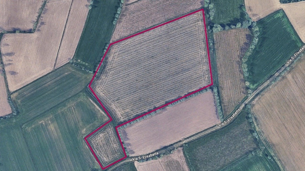 Immagine WhatsApp 2025-11-03 ore 14.47.22_f877544c - Terreno agricolo Gruaro - foto 1