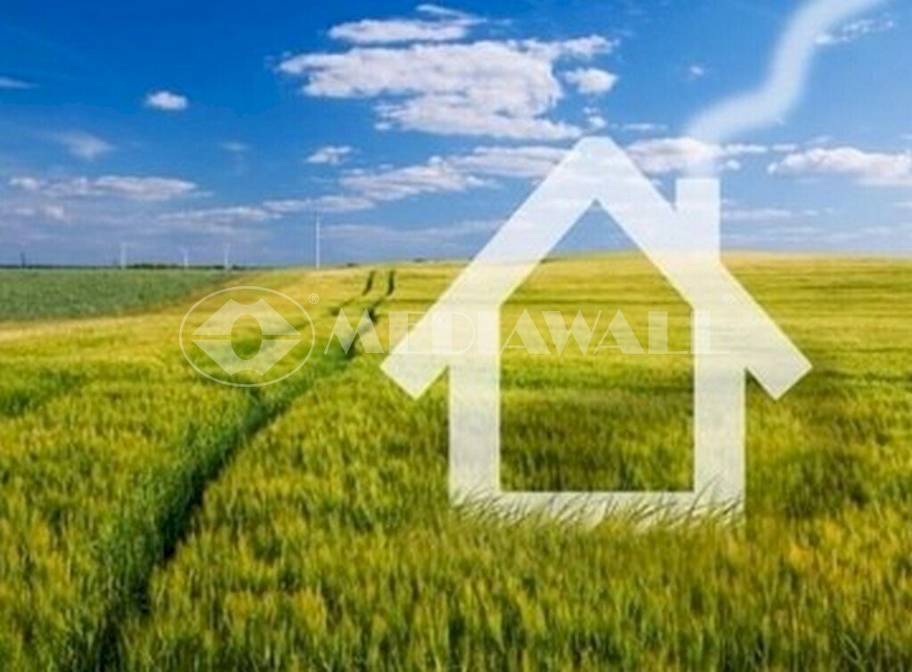 3-terreno.1.jpg.jpg - Terreno agricolo Gruaro - foto 3