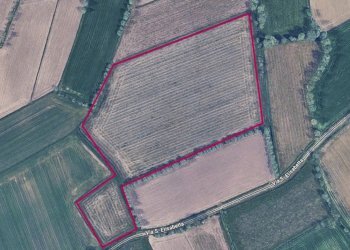 Immagine WhatsApp 2025-11-03 ore 14.47.22_f877544c - Terreno agricolo Gruaro - foto 1