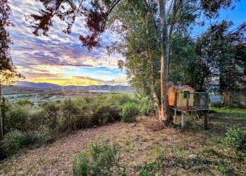 Casale Castellaccia-08.jpg - Rustico Strada Provinciale Lupo, Gavorrano - foto 18