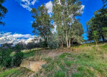 Casale Castellaccia-24.jpg - Rustico Strada Provinciale Lupo, Gavorrano - foto 24