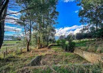 Casale Castellaccia-25.jpg - Rustico Strada Provinciale Lupo, Gavorrano - foto 25