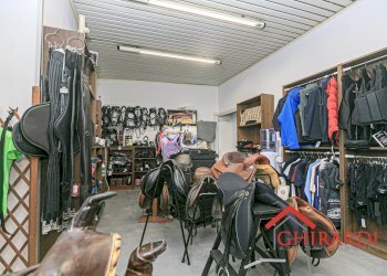 3.1 LOCALE 2.jpg - Abbigliamento - Intimo VICO CAMPETTO   3/5 R, Genova - foto 12