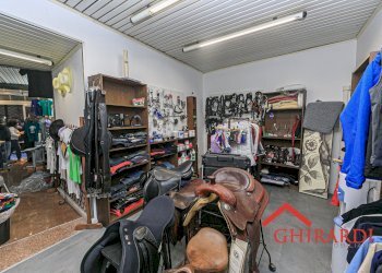 3.3 LOCALE 2.jpg - Abbigliamento - Intimo VICO CAMPETTO   3/5 R, Genova - foto 14