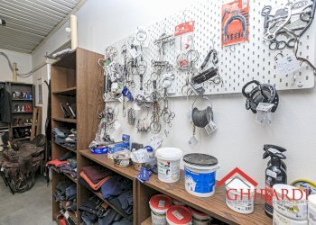 3.6 LOCALE 2.jpg - Abbigliamento - Intimo VICO CAMPETTO   3/5 R, Genova - foto 17