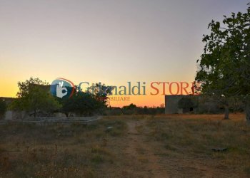 Casale Lecce14.jpg - Casale Via Monteroni 222, Lecce - photo 14