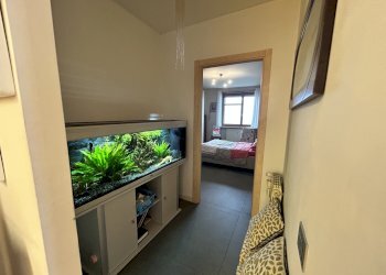 Appartamento Alba - foto 12